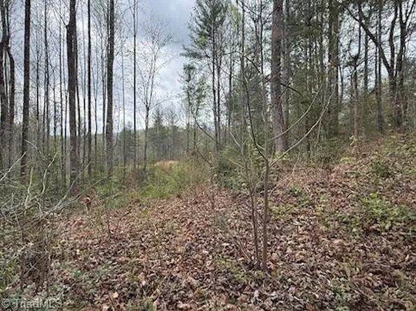 Hollow Springs Cir, Boomer, NC 28606