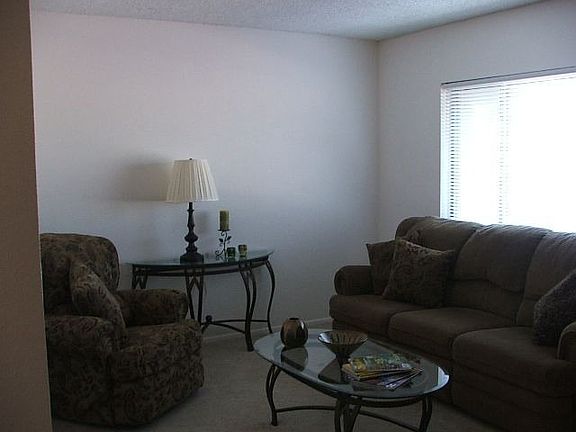 Large living room with plush carpet & picturesque window.
