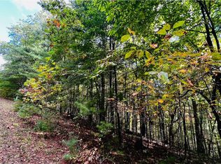 3 Wild Turkey Rd, Young Harris, GA 30582