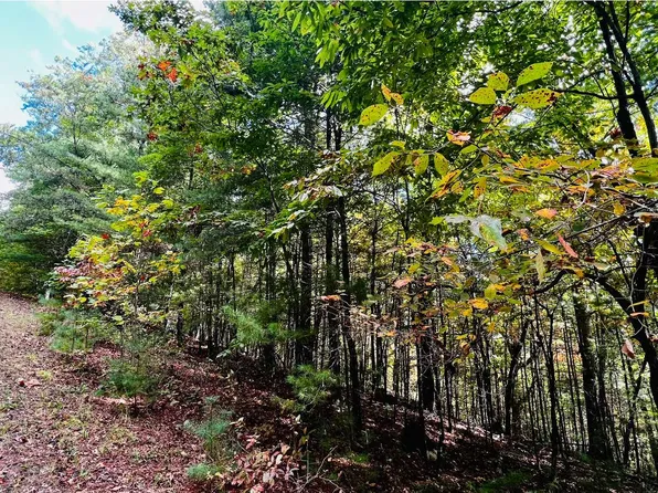 3 Wild Turkey Rd, Young Harris, GA 30582