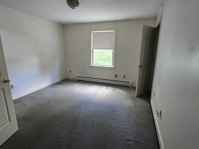 11 Horne St — Photo 15