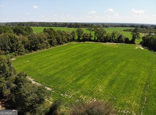 0 State Highway 199 Spur, Soperton, GA 30457