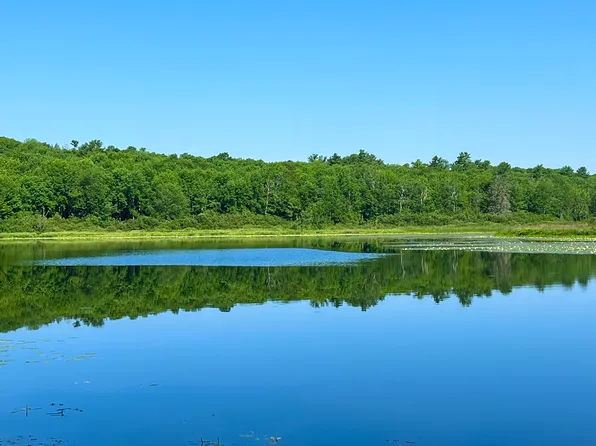 00LowerFal Lower Falls Road, Orland, ME 04472
