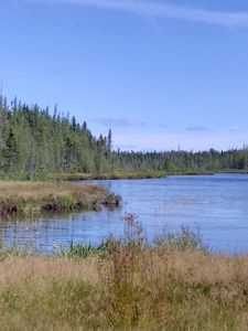 Lot 7 Caswell Woods Dernien Drive, Limestone, ME, 04750