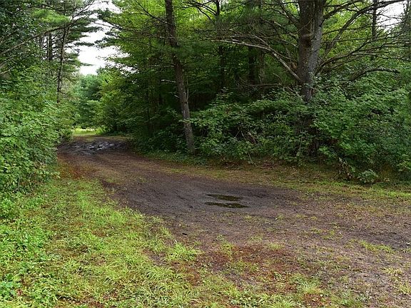 3rd image of 10.7 Acres Kovar Road