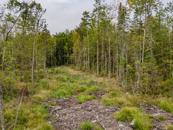 TBD Mount Road, Burnham, ME 04922