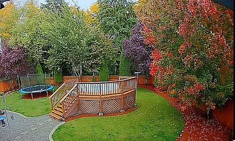 5th image of 13905 Dogwood Ct