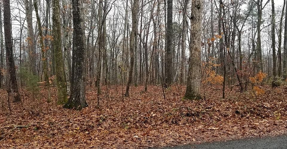 1st image of 0 Coleman Rd