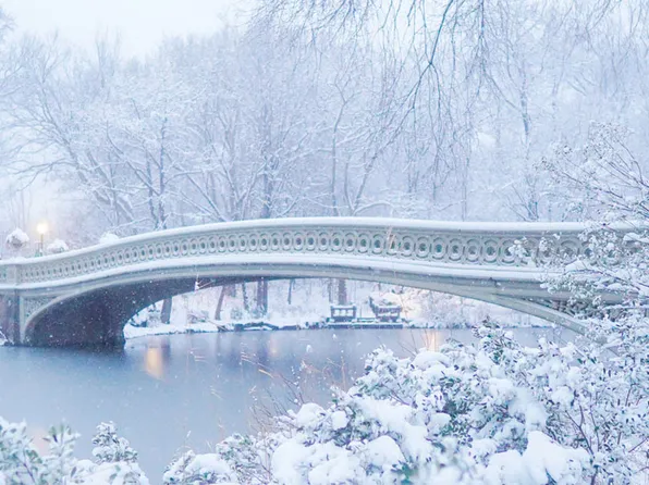 58 West 105th Street image 14 of 14