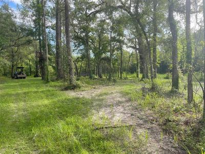 35103 Soap Stone St #1, Webster, FL, 33597