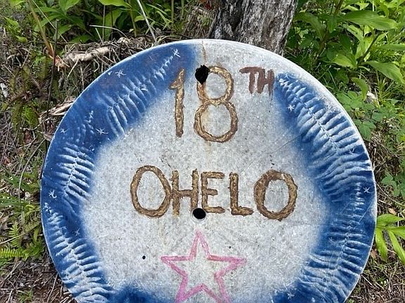 3rd image of 11-1775 Ohelo St Lot 17