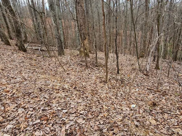 2225 King Hollow Rd Lot 1R-2, Sevierville, TN 37876
