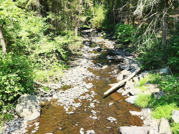 LOT 46 Creek Ln, Dingmans Ferry, PA 18328