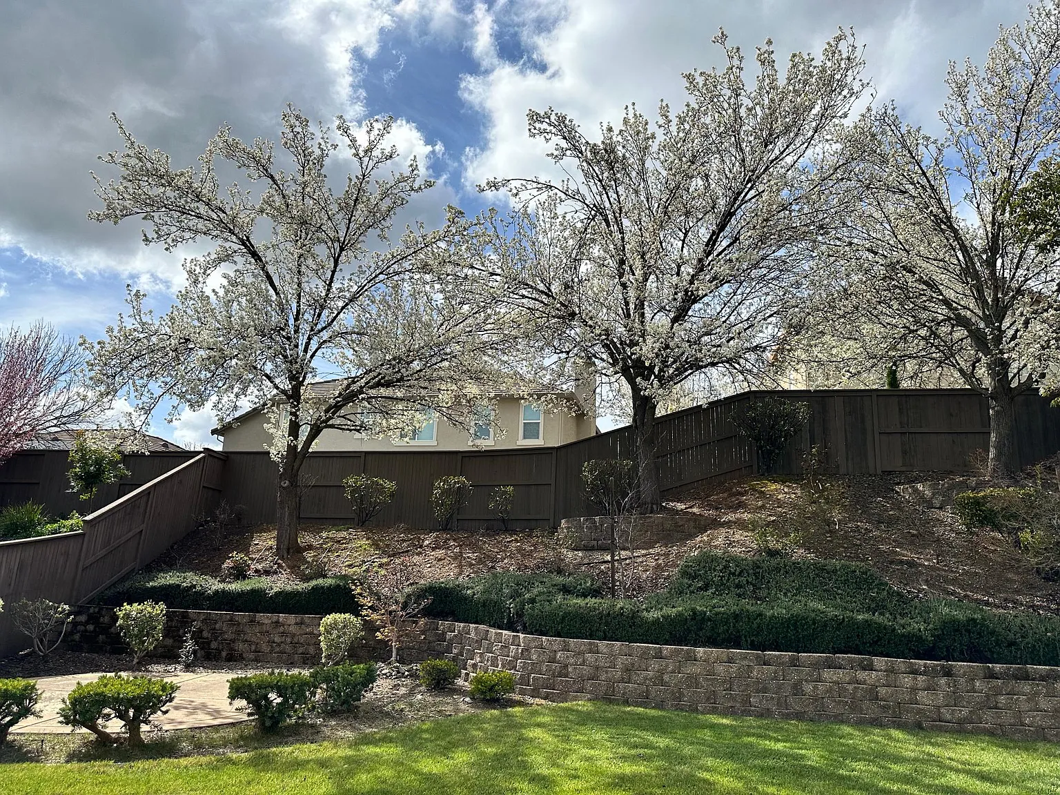 4 bed, 2899 sqft, $4,200 — Photo 4
