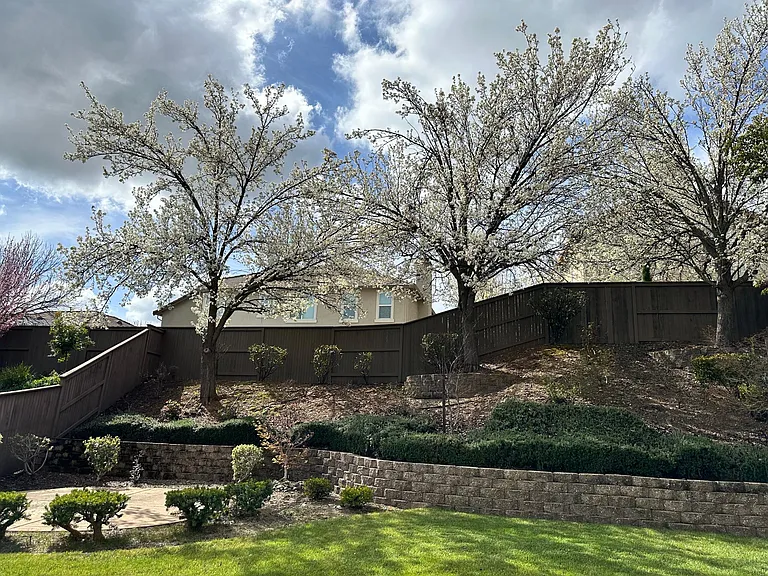 8054 Murcia Way — Photo 4