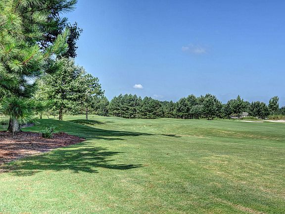 3rd image of 176 Long Leaf Drive LOT 58