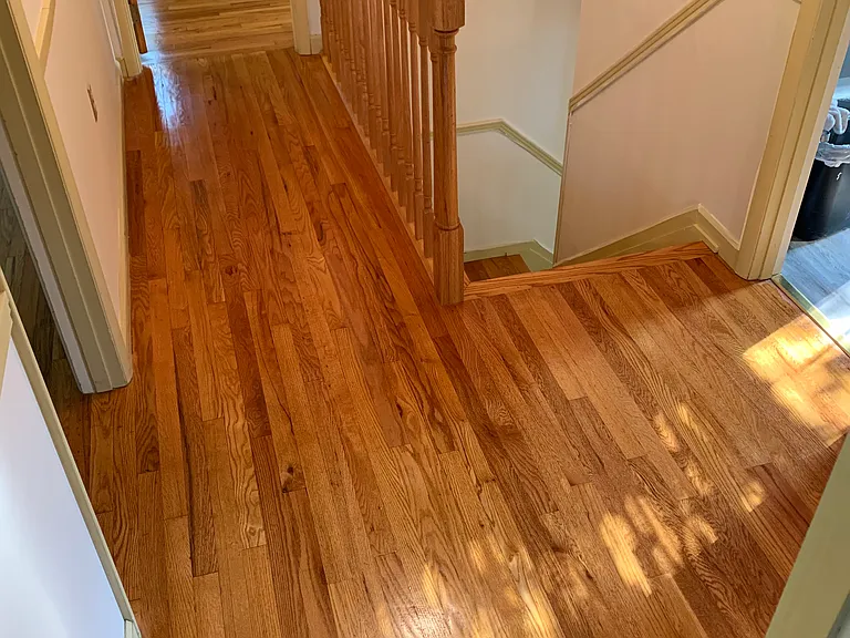 8811 Breezewood Dr — Photo 39