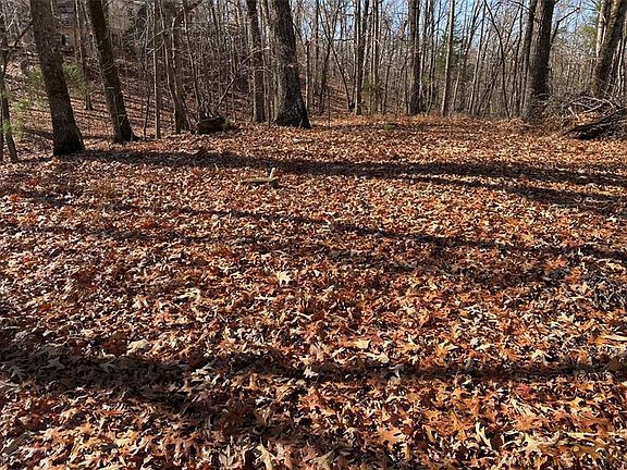 5th image of 1563 War Hill Park Rd #A