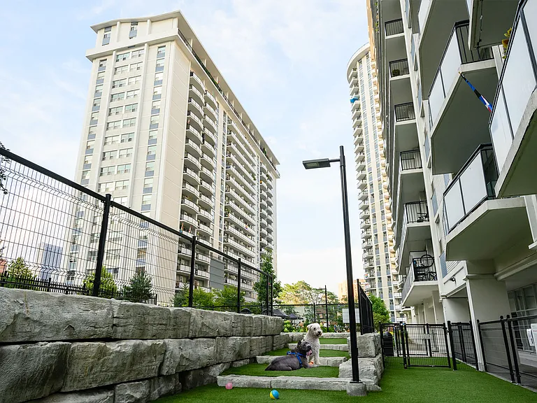 50 Alexander St — Photo 10