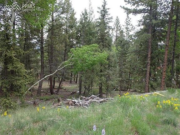 5th image of 1316 Spruce Ridge Ln