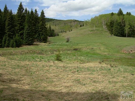 5th image of 7075 State Highway 165