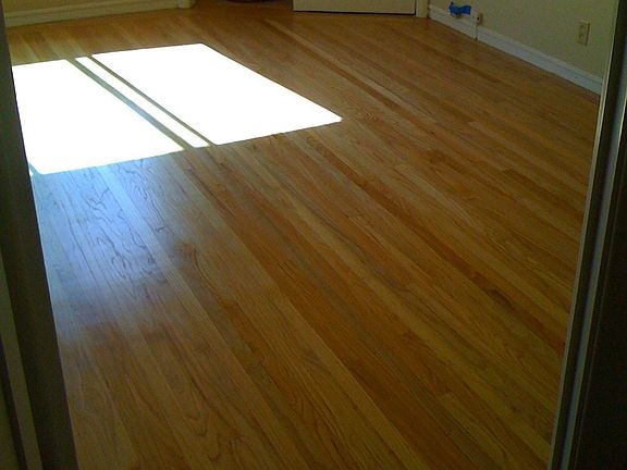 3rd image of 554 Cypress Ave