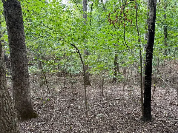 0 Hideaway St, Branson, MO 65616