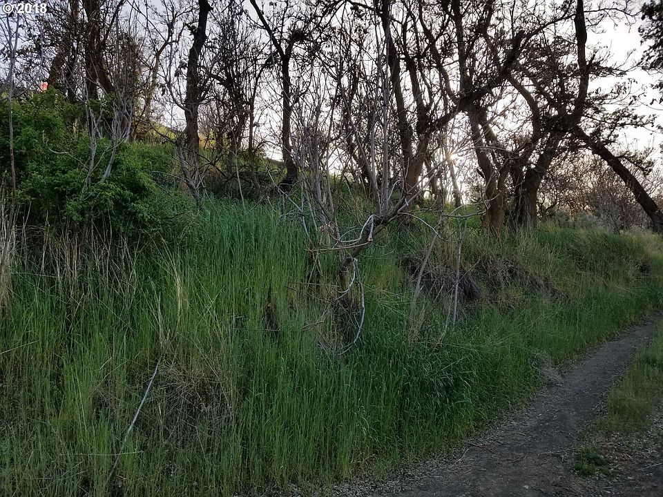 2nd image of Riverview St