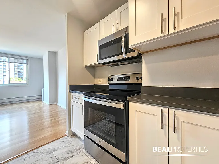 1344 N Dearborn — Photo 14