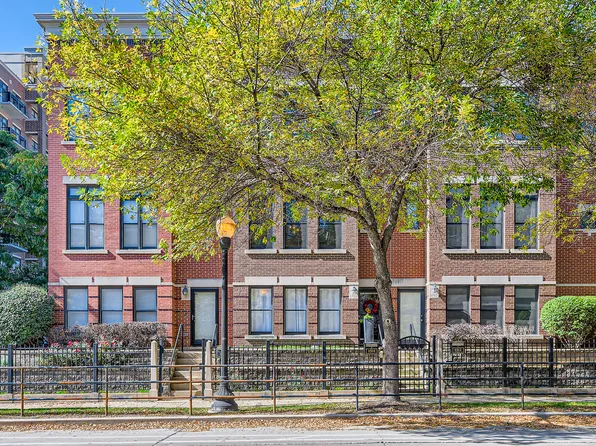 1514 S Halsted St, Chicago, IL 60607