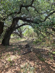 3366 County Road 419, Evant, TX, 76525