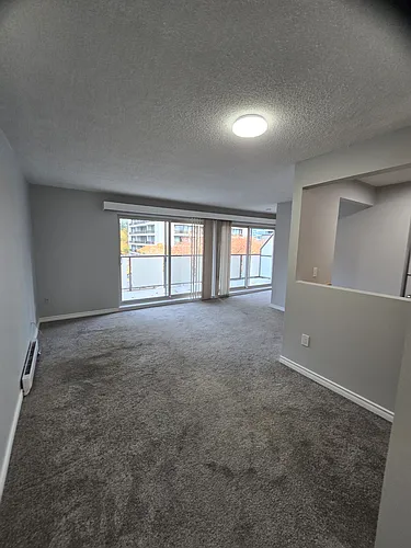 4363 Halifax St #323 Photo 1