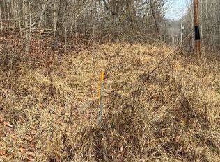 27599 Bray Hollow Rd, Mc Arthur, OH 45651
