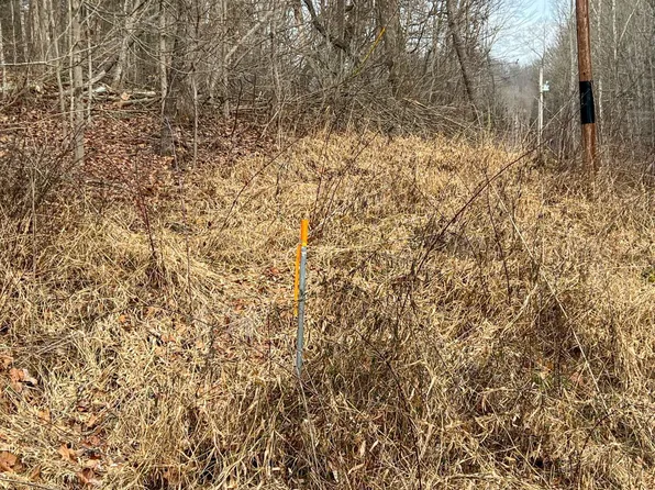 27599 Bray Hollow Rd, Mc Arthur, OH 45651