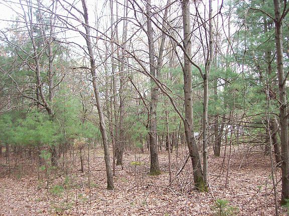 3rd image of Lot 3 Meiller Road Lot 3