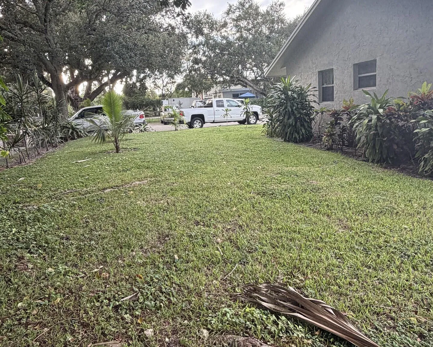 2 bed, 1.0 bath, 870 sqft, $2,000 — Photo 3