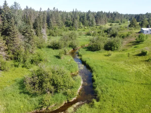 4216 E 29 Mile Rd, Pickford, MI 49774