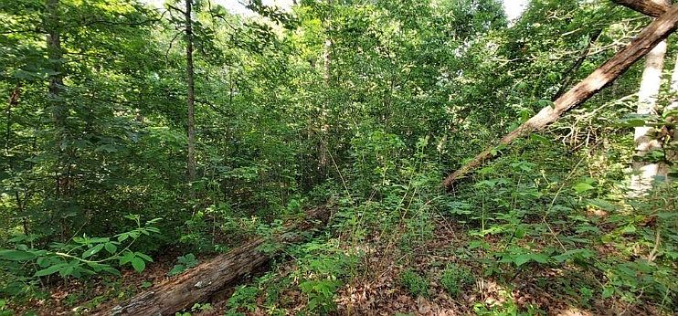2nd image of Pentland Dr #7