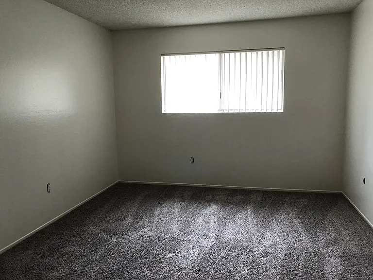 saf2229 — Photo 22