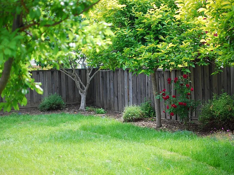 1147 Wunderlich Dr — Photo 3