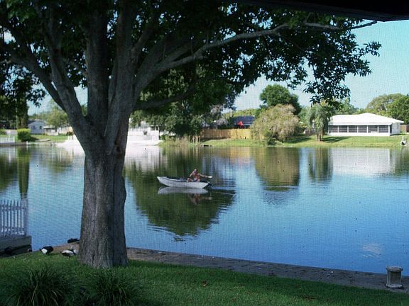 Your personal view of Lake Henry 