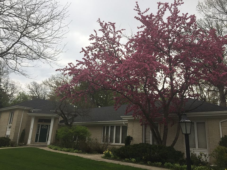 1st image of 2416 Brookwood Dr