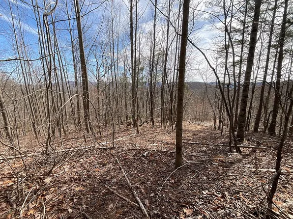 544 Paramount Pl, Ellijay, GA 30536