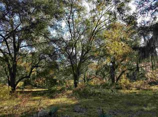 Vacant Ne Hickory Grove Road Na, Pinetta, FL 32350