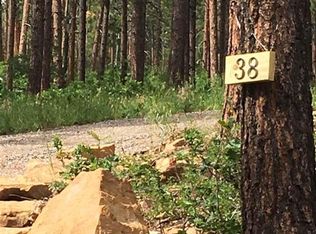 38 Forest Ln, Bayfield, CO 81122