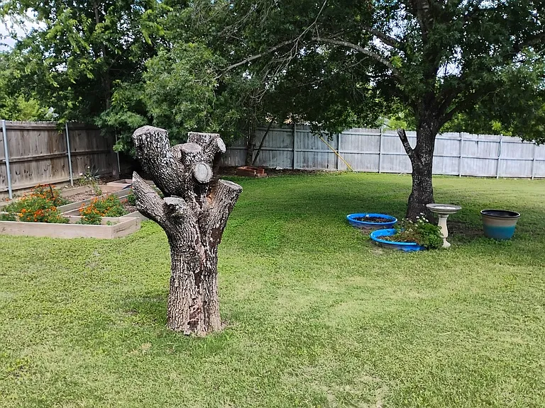 410 Saddle Dr — Photo 51