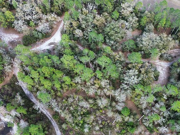 Dji Fly 20260306 165452 865 1772847400450 Photo Optimized