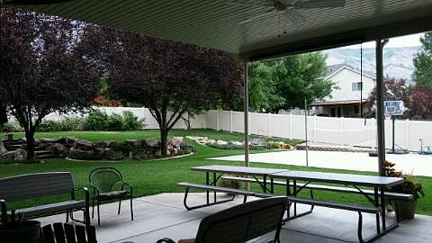 Back yard from patio