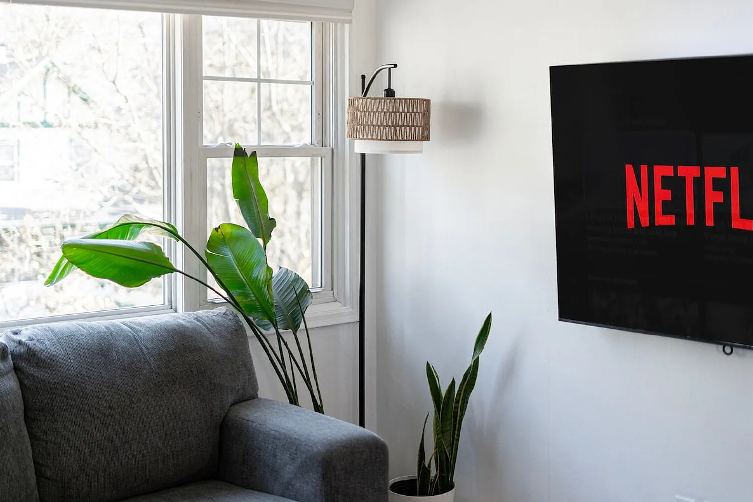2 bed, 1.0 bath, $3,807 — Photo 4