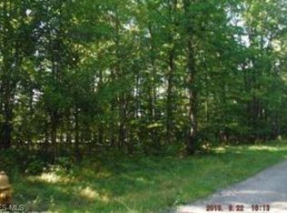 Willow St, Solon, OH 44139